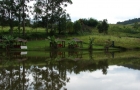Imagem 079
