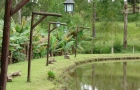 Imagem 081