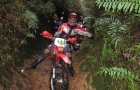 Aparecida - 09 (50)